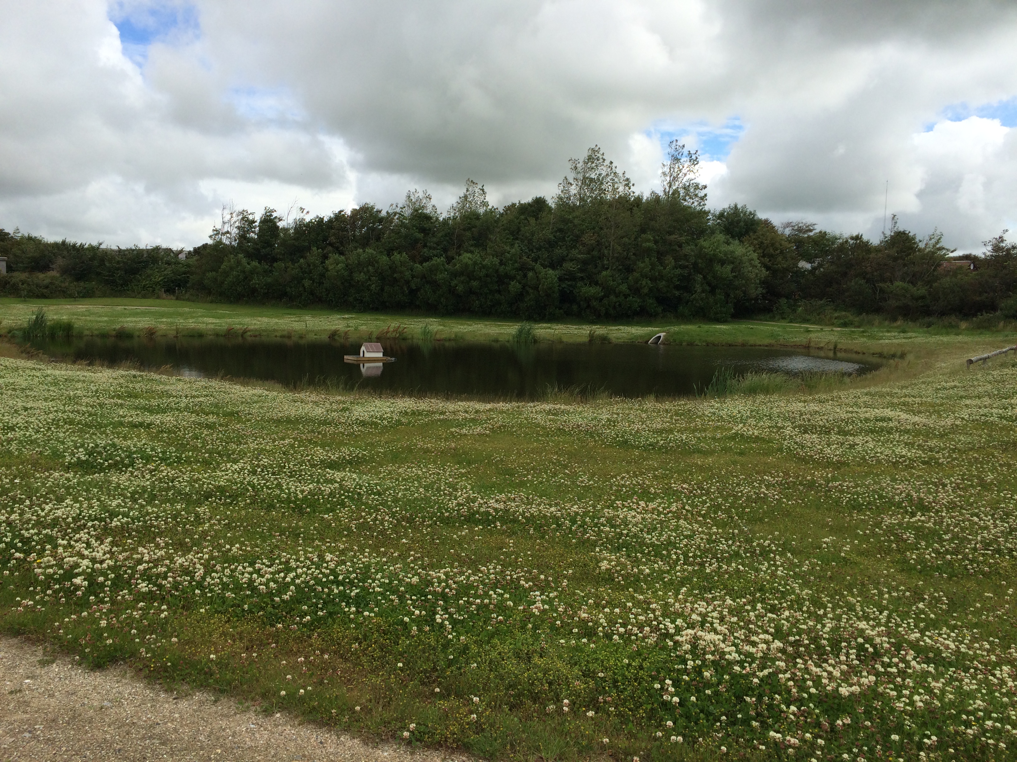 Regnvandsbassin i Bedsted