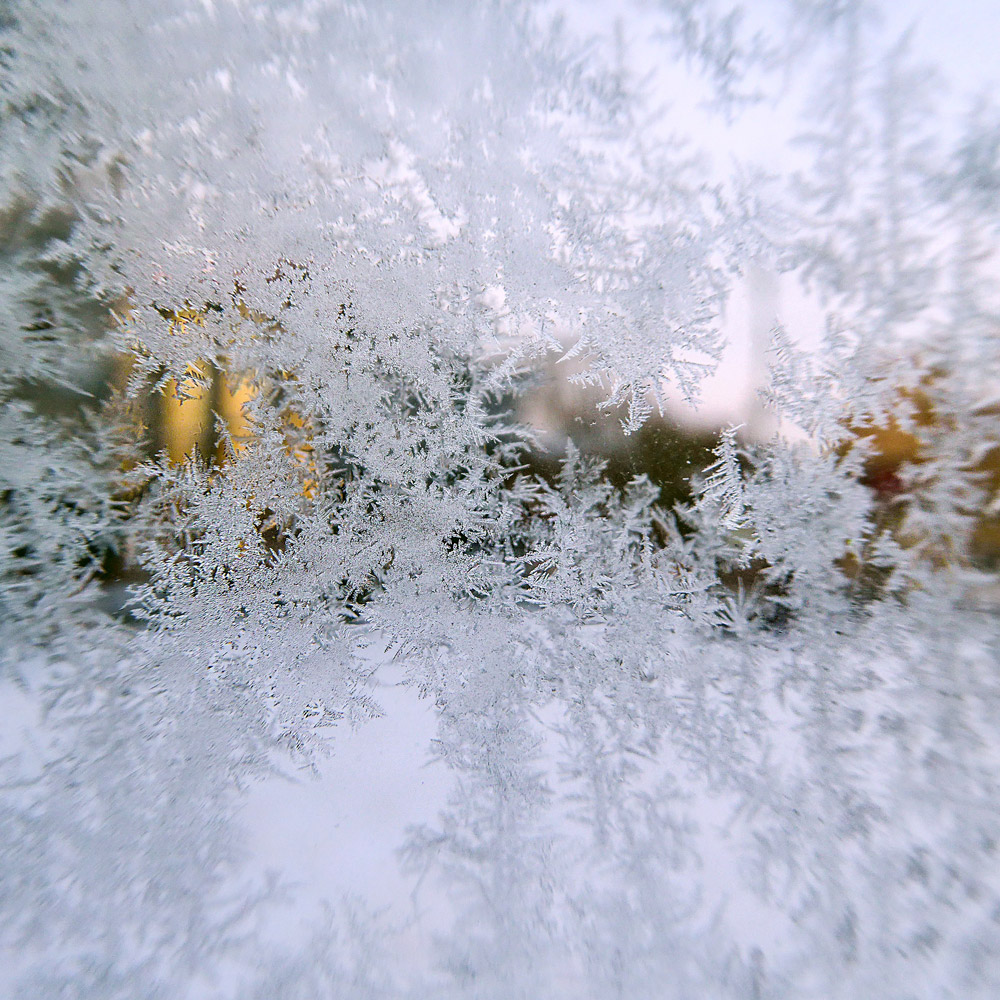Frost